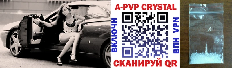 A PVP крисы CK Кириши